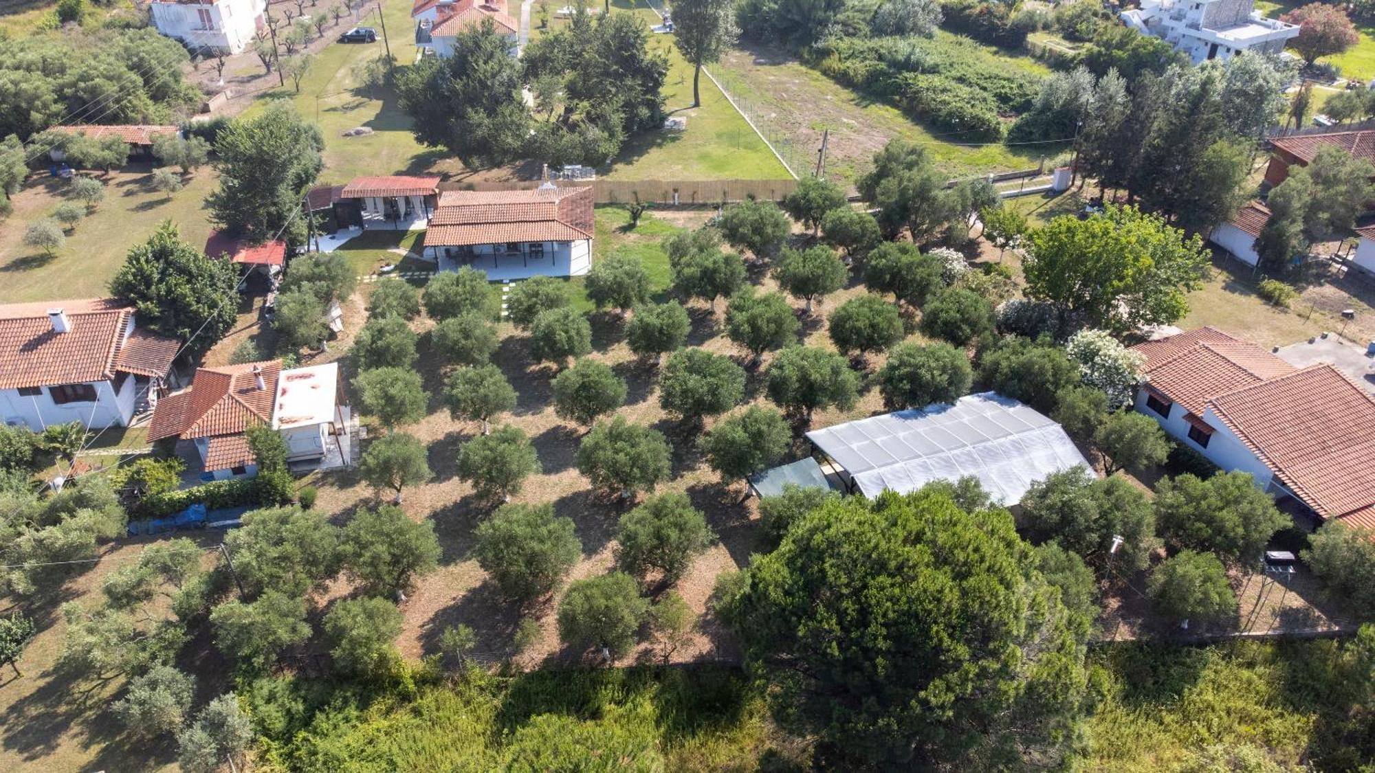 אורמוס פנגיאס Casa Alelia Lagonisi מראה חיצוני תמונה